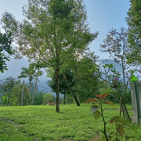 Jepun Homestay Lemukih Singaraja  Luaran gambar