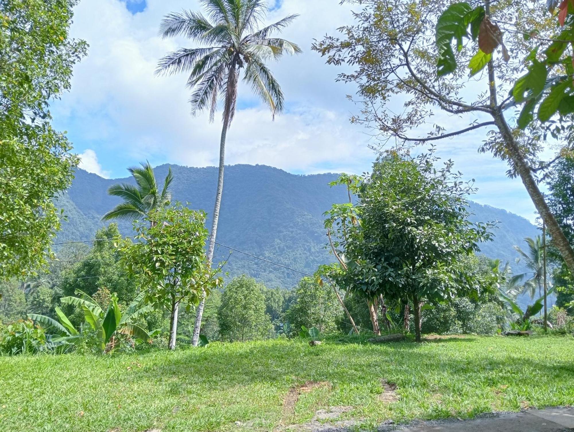 Jepun Homestay Lemukih Singaraja  Luaran gambar