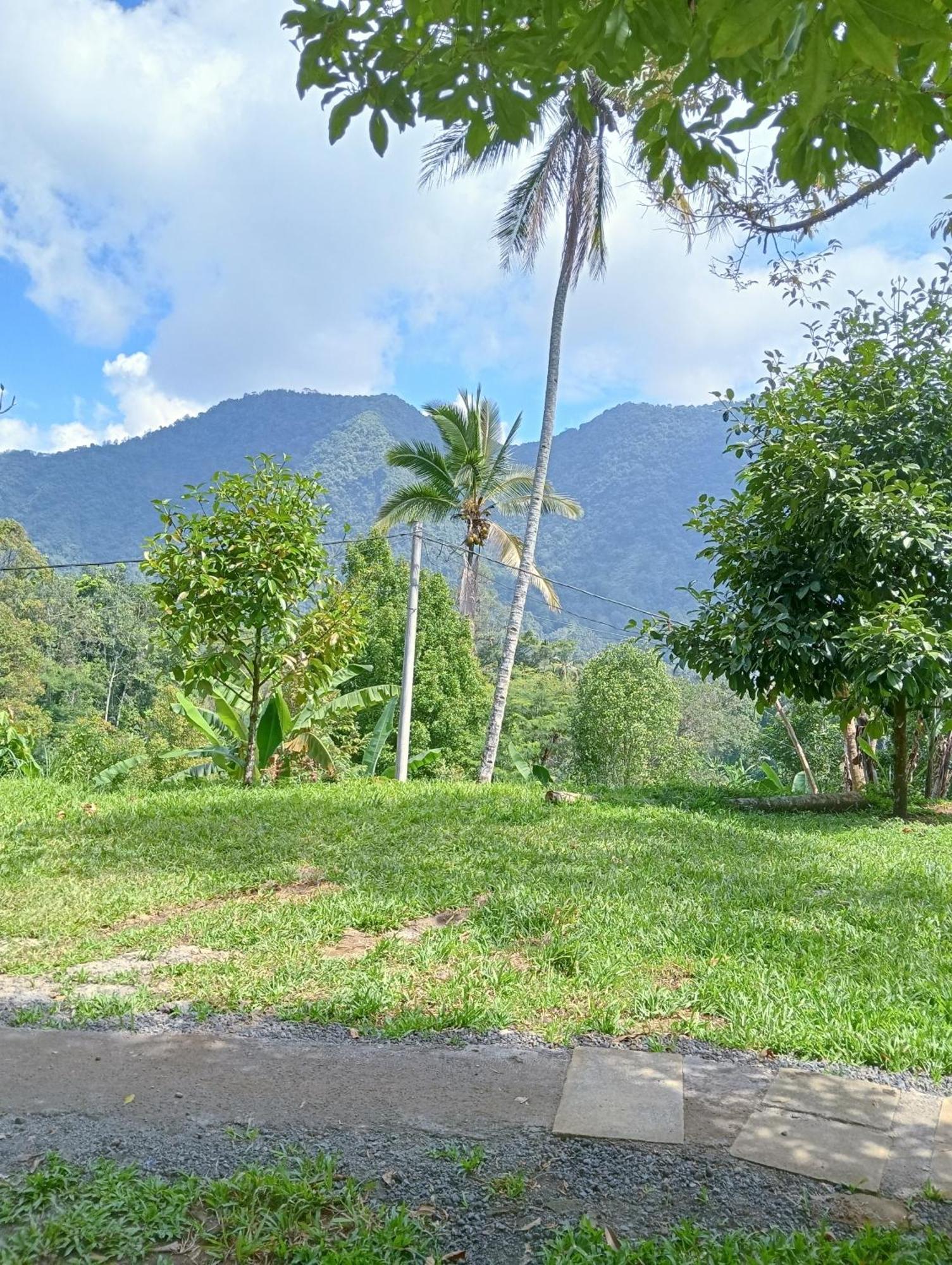 Jepun Homestay Lemukih Singaraja  Luaran gambar
