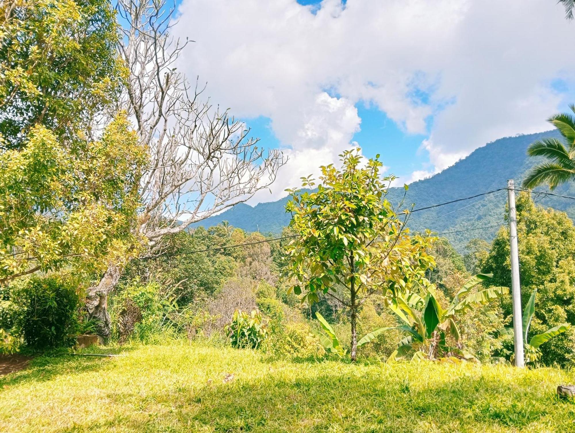 Jepun Homestay Lemukih Singaraja  Luaran gambar