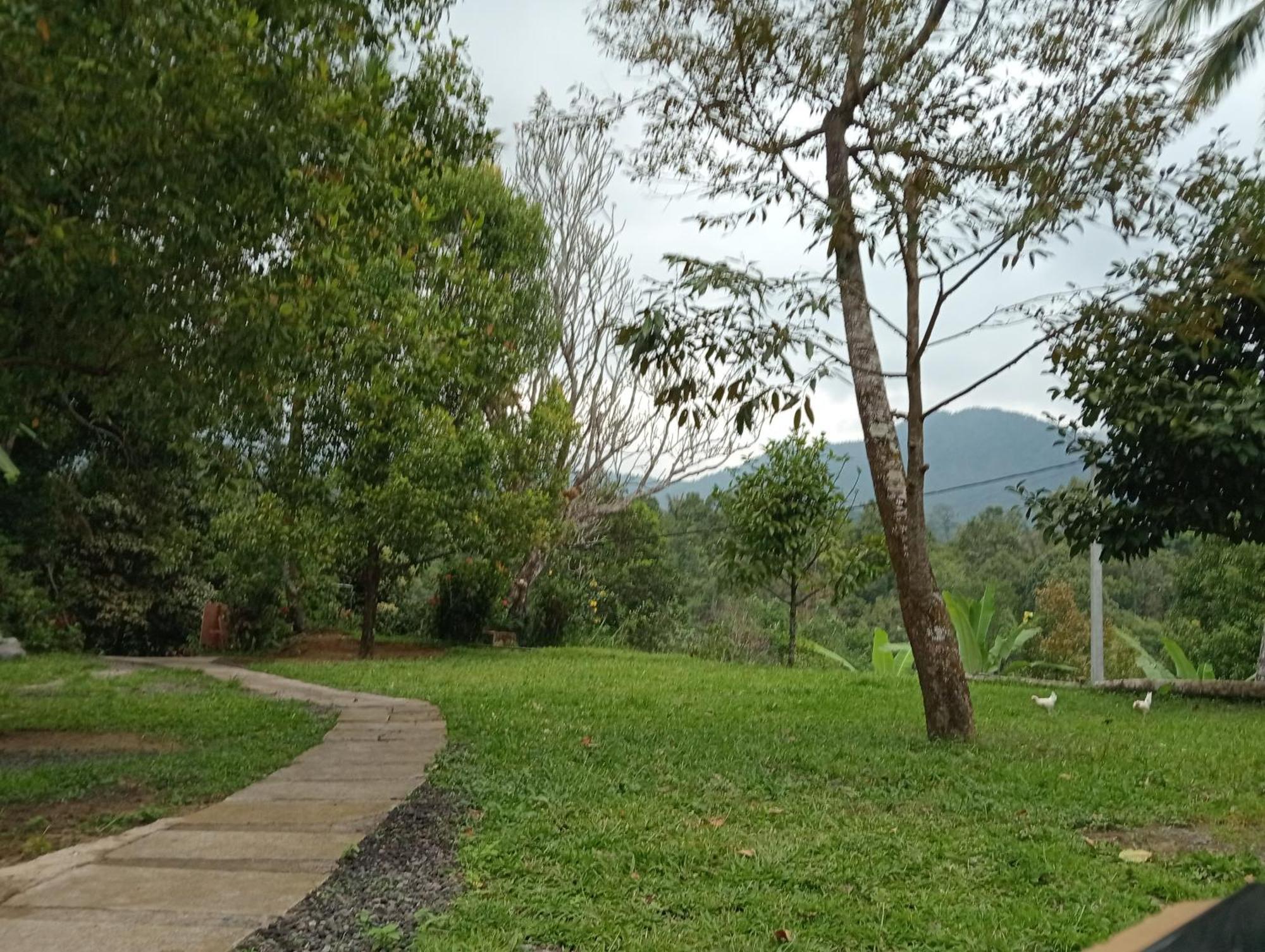 Jepun Homestay Lemukih Singaraja  Luaran gambar