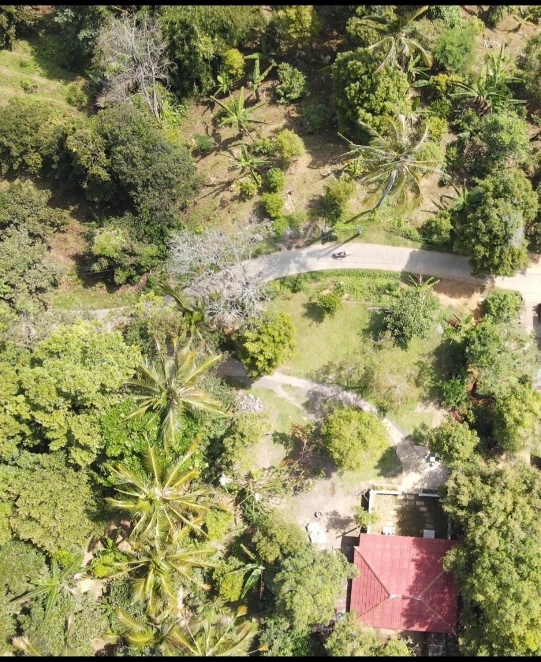 Jepun Homestay Lemukih Singaraja  Luaran gambar