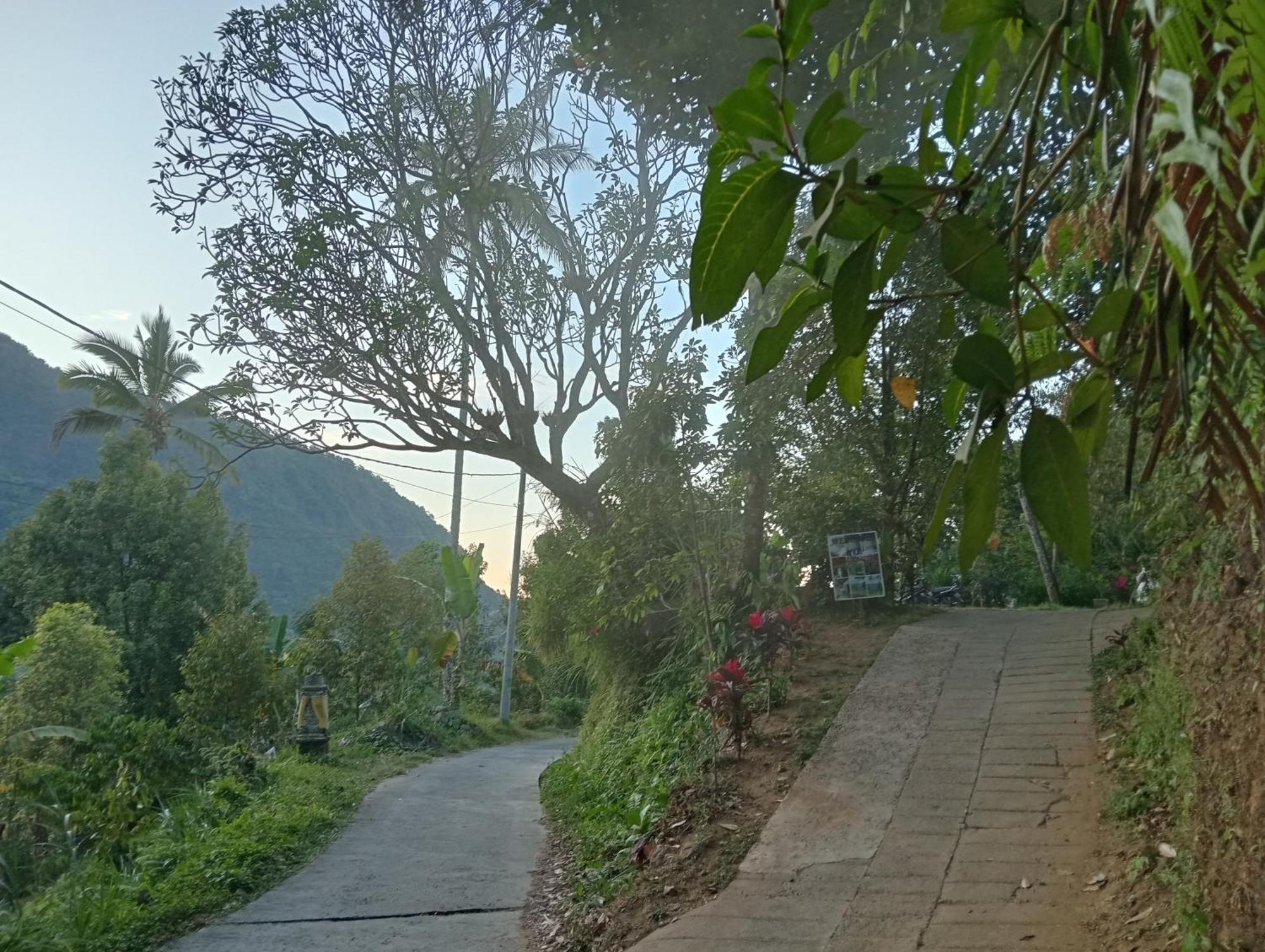 Jepun Homestay Lemukih Singaraja  Luaran gambar