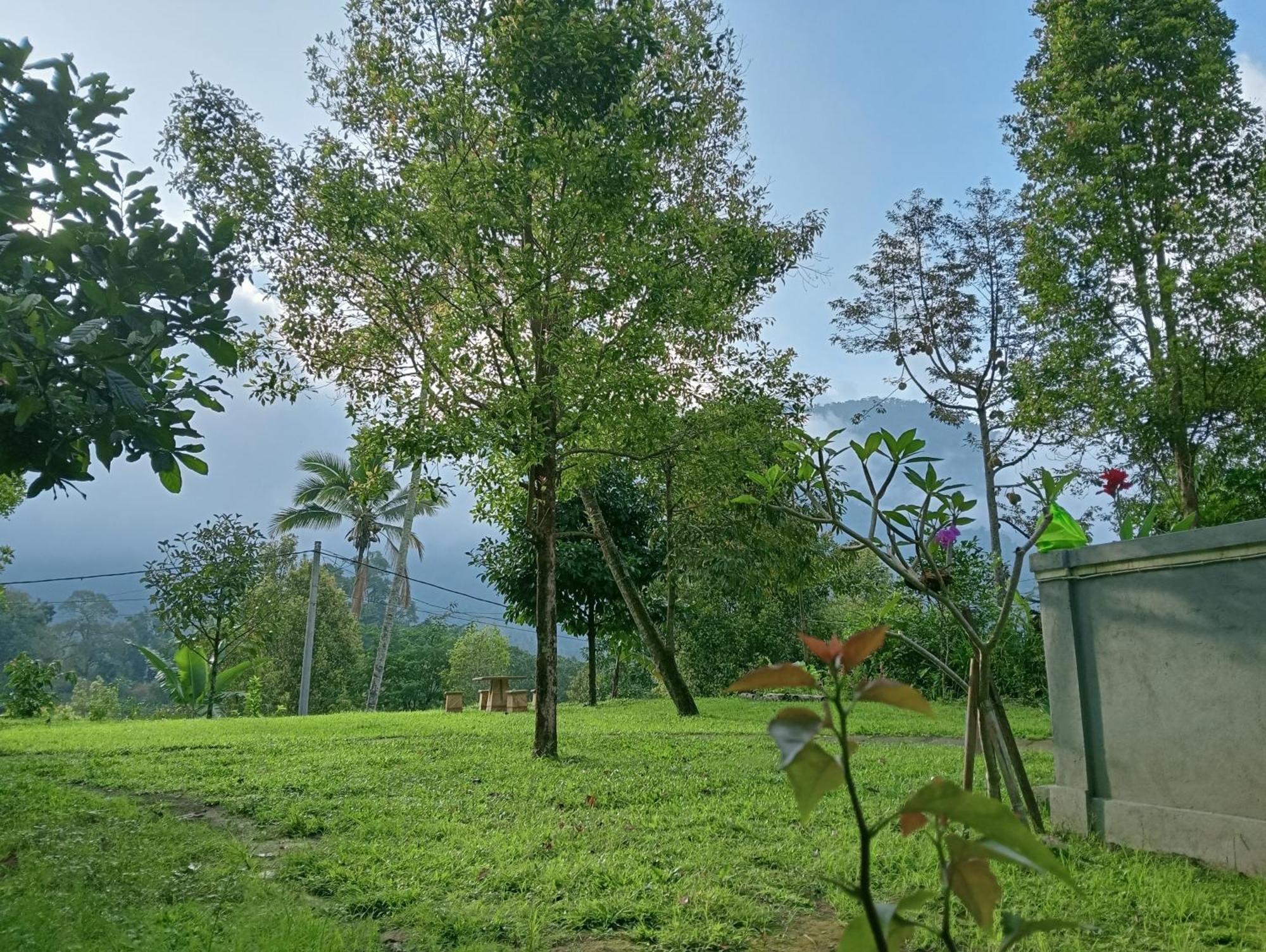 Jepun Homestay Lemukih Singaraja  Luaran gambar